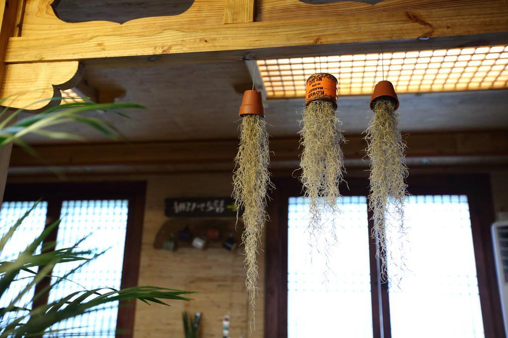 Harry And Sodam Pension Jeju Exterior foto